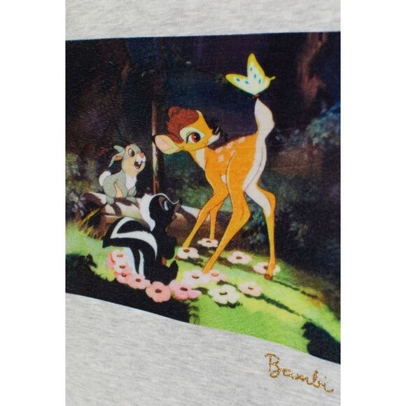 Disney H&M Girls Bambi Velvet Motif Spring Grey Sweatshirt Sweater Size 4-6 - Picture 2 of 9